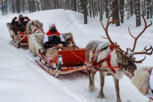 Елфин Еванс, Кале Рованпера, Себастиен Ожие, Такамото Кацута