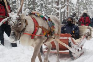 От Танак