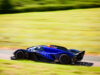 Ред Бул RB17